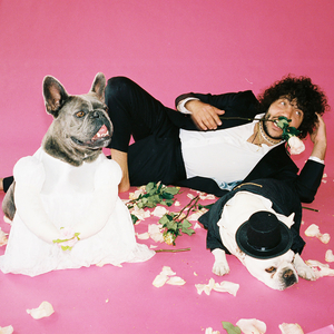 效率素材小鹤导航
