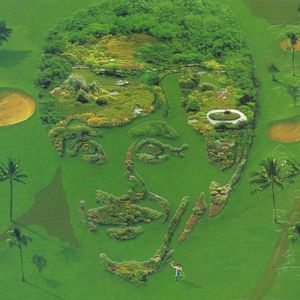 效率素材小鹤导航
