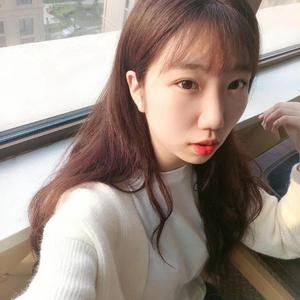 效率素材小鹤导航
